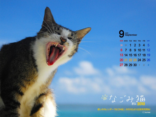 399946 (a): :1600x1200